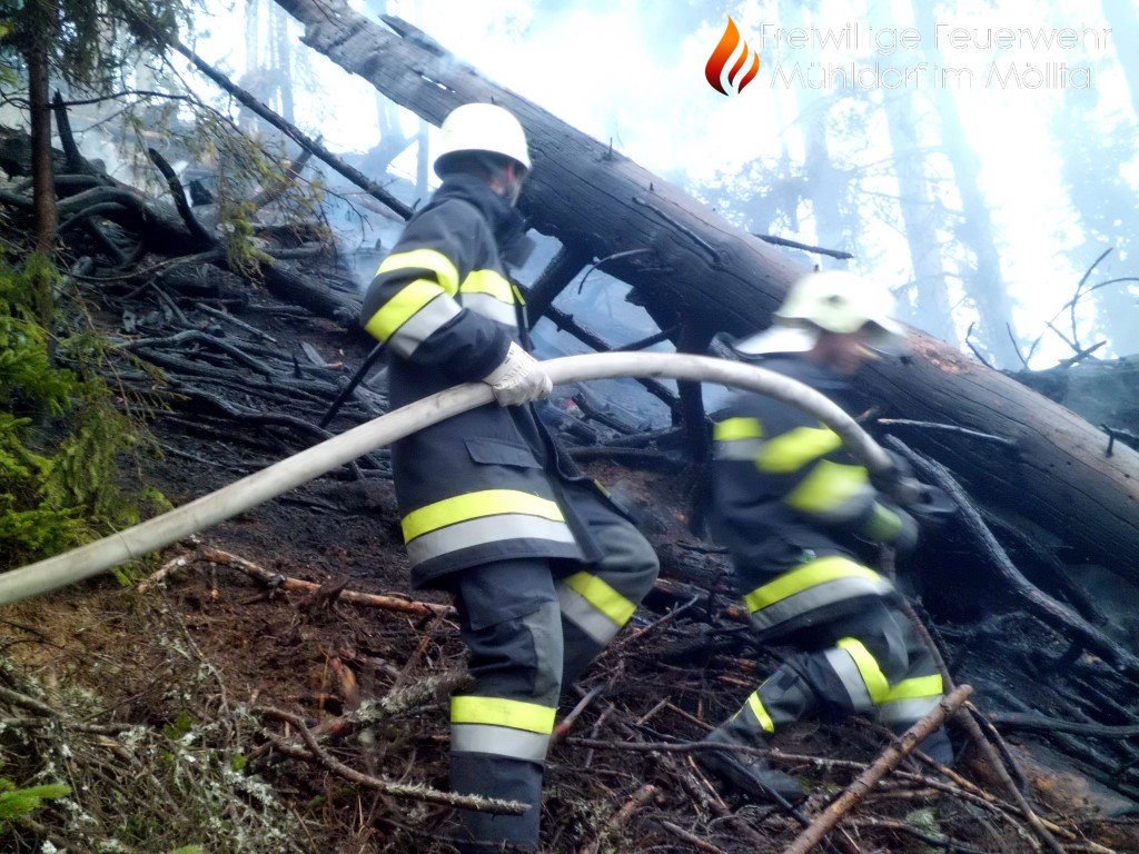 Waldbrand Göriacher Alm - Plankogel