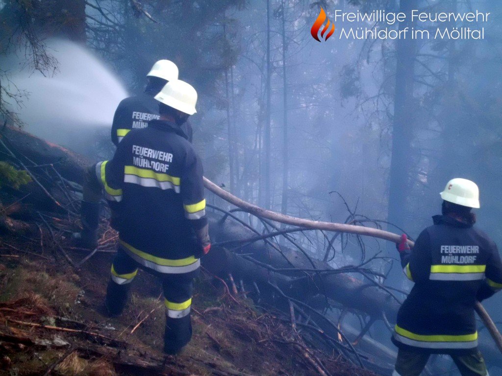 Waldbrand Göriacher Alm - Plankogel