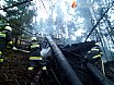 Waldbrand G&ouml;riacher Alm - Plankogel