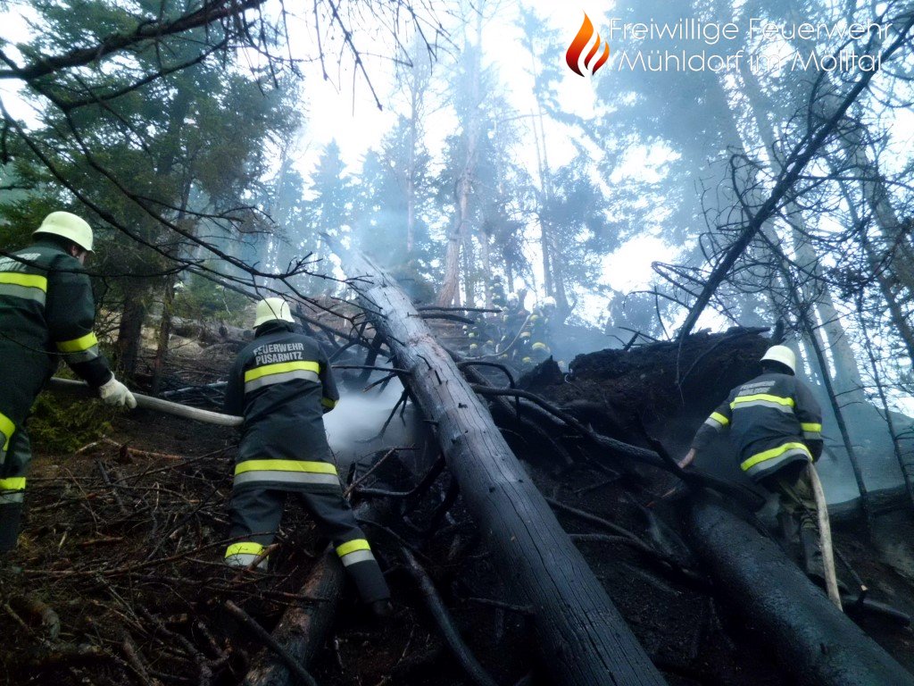 Waldbrand Göriacher Alm - Plankogel