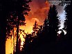 Waldbrand G&ouml;riacher Alm - Plankogel