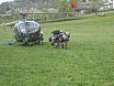 Waldbrand G&ouml;riacher Alm - Plankogel