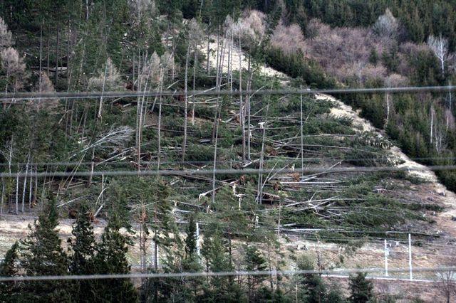 08-01-27 sturm paula 031
