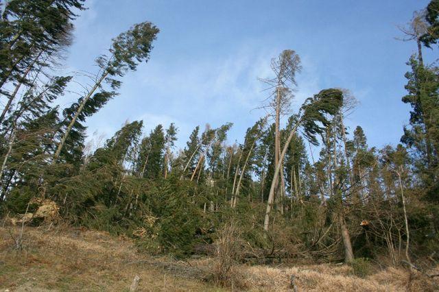 08-01-27 sturm paula 064