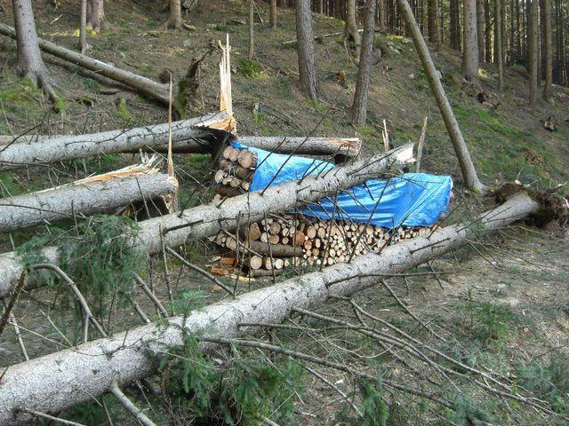 08-01-27 sturm paula 101
