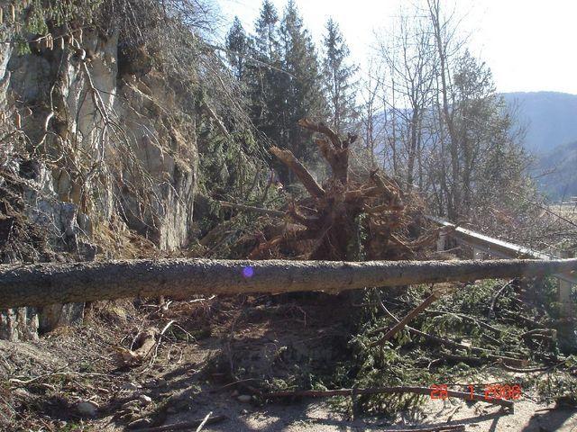 08-01-27 sturm paula 130