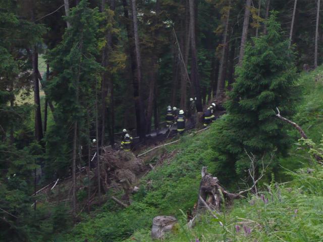 09-05-26 Waldbrand Preisdorf-005