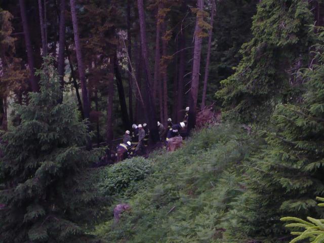 09-05-26 Waldbrand Preisdorf-008