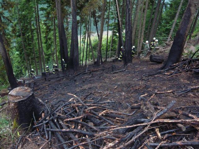 09-05-26 Waldbrand Preisdorf-013