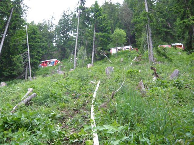 09-05-26 Waldbrand Preisdorf-014