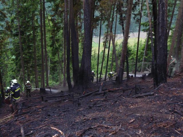 09-05-26 Waldbrand Preisdorf-019