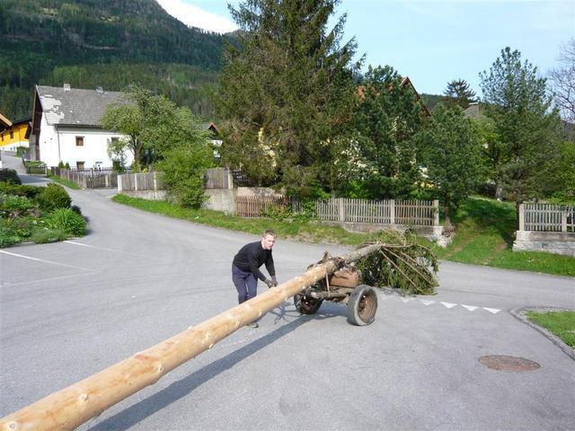 09-04-30 Maibaum-005