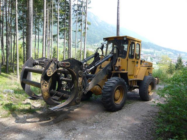 10-04-30 Maibaum 003