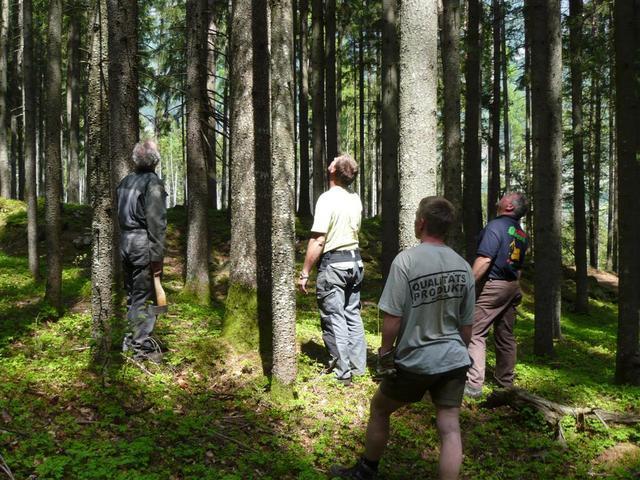 10-04-30 Maibaum 004