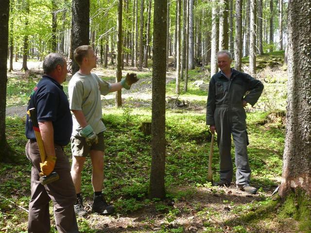 10-04-30 Maibaum 006