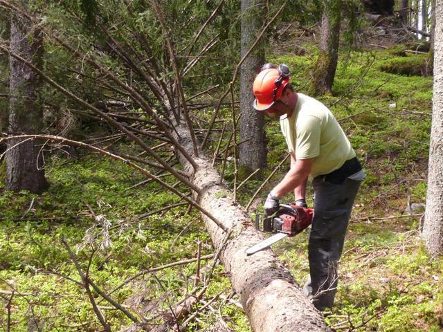 10-04-30 Maibaum 017