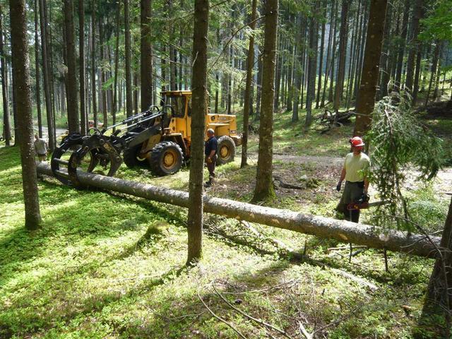 10-04-30 Maibaum 018