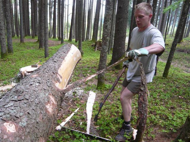 10-04-30 Maibaum 021