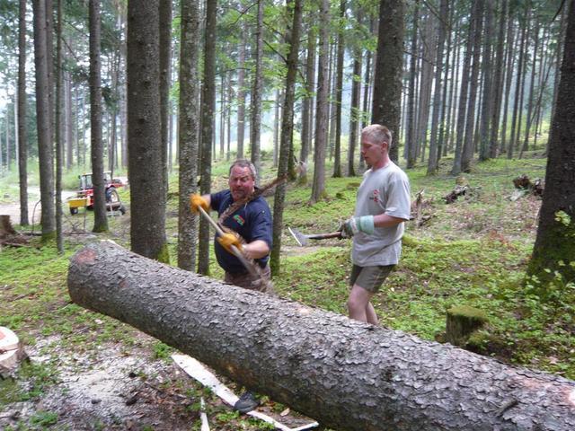 10-04-30 Maibaum 022