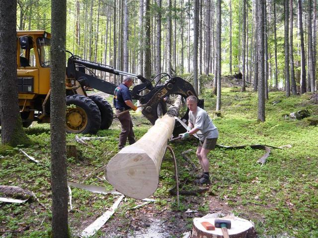 10-04-30 Maibaum 024