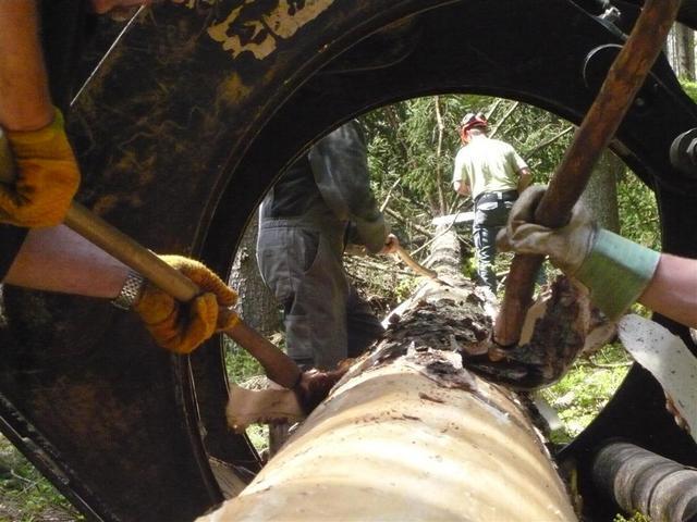 10-04-30 Maibaum 025