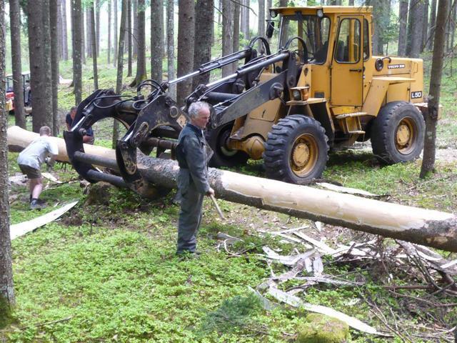 10-04-30 Maibaum 027