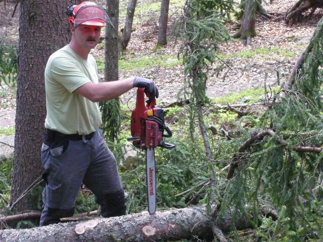 10-04-30 Maibaum 029