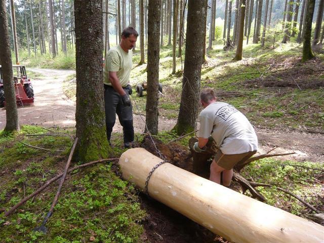 10-04-30 Maibaum 034