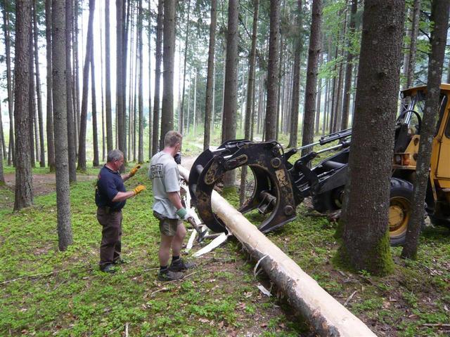 10-04-30 Maibaum 036