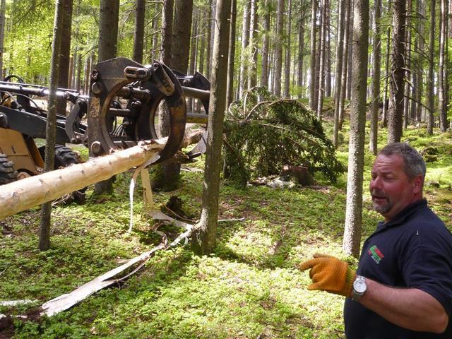 10-04-30 Maibaum 037