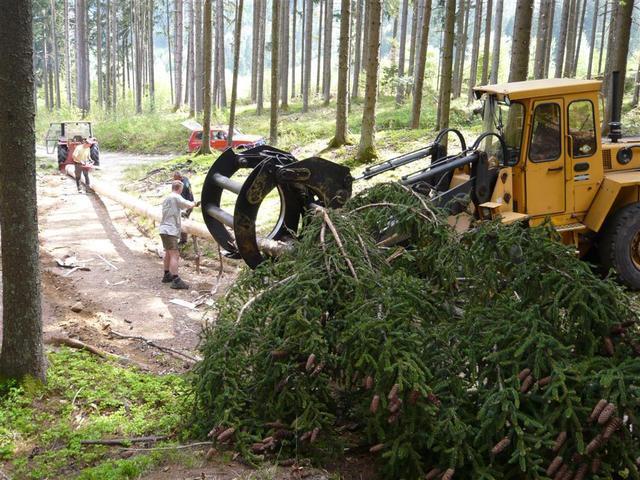 10-04-30 Maibaum 041
