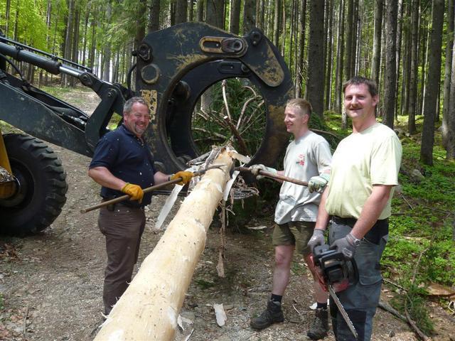 10-04-30 Maibaum 043