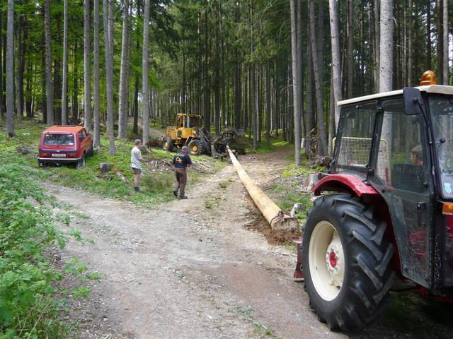 10-04-30 Maibaum 048