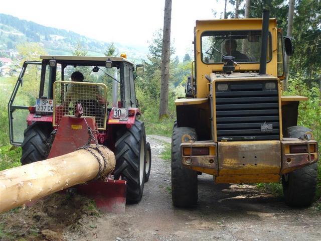 10-04-30 Maibaum 049