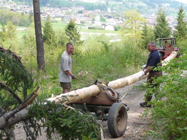 10-04-30 Maibaum 052