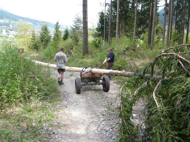 10-04-30 Maibaum 053