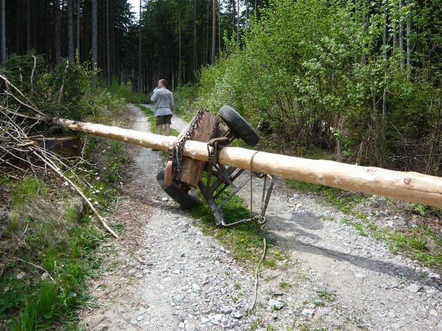 10-04-30 Maibaum 055