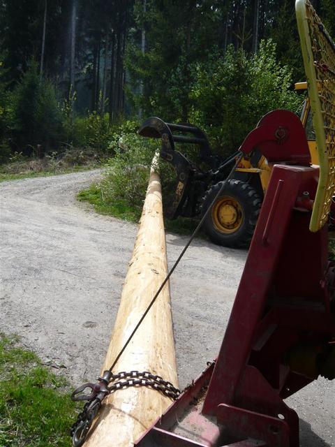 10-04-30 Maibaum 057