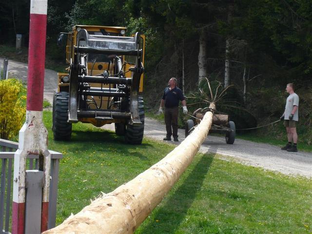 10-04-30 Maibaum 066