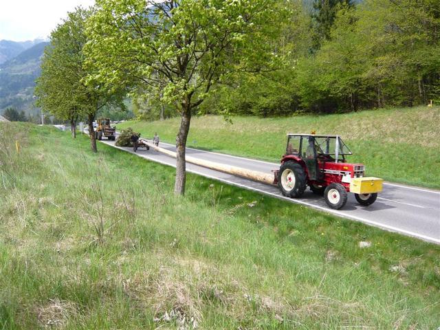 10-04-30 Maibaum 073