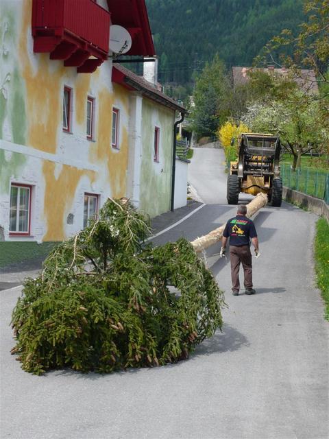 10-04-30 Maibaum 079