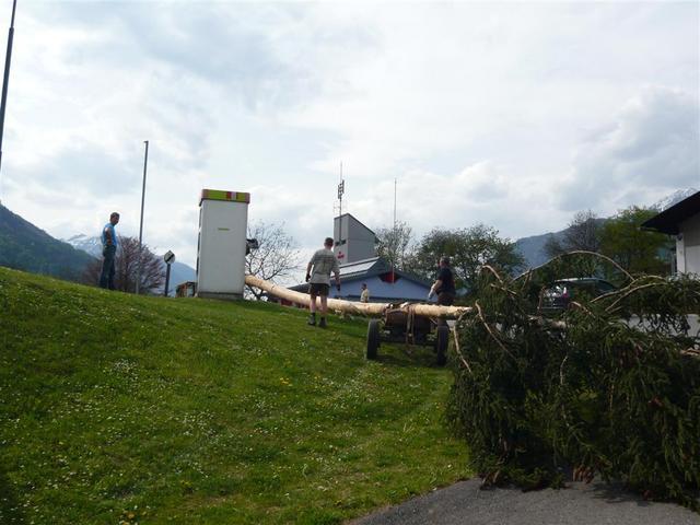 10-04-30 Maibaum 081