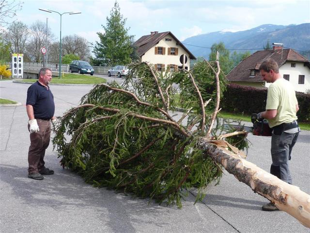 10-04-30 Maibaum 083