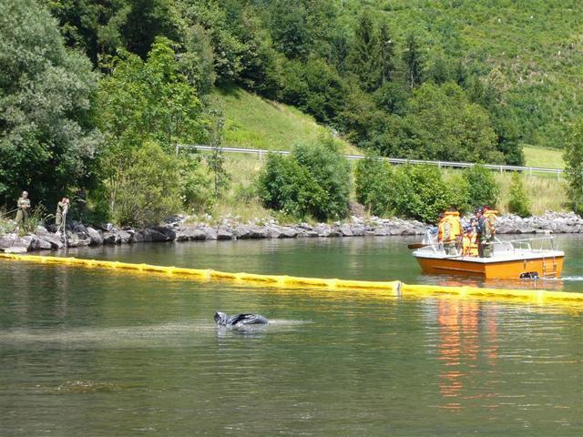 11-07-02 Stausee 050