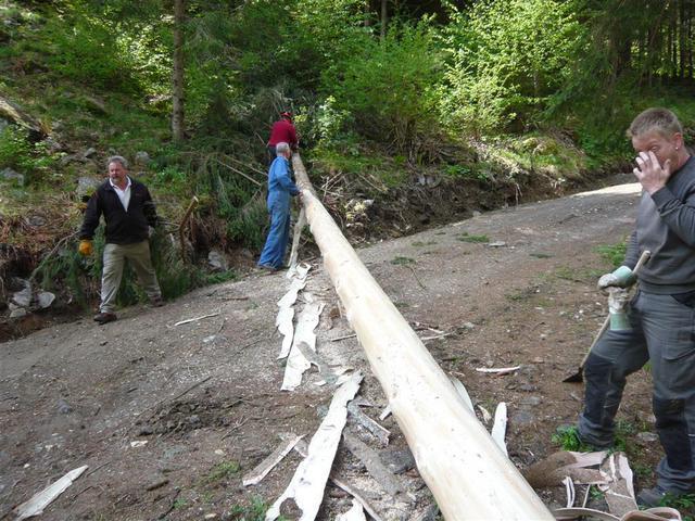 11-04-30 maibaum 012