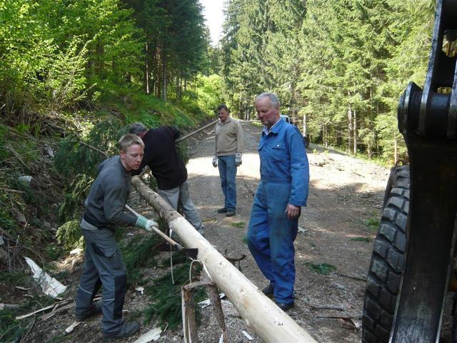 11-04-30 maibaum 023