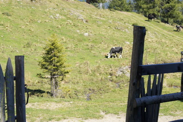 12-09-09 Almwandertag 2012 042