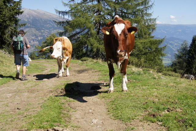 12-09-09 Almwandertag 2012 066