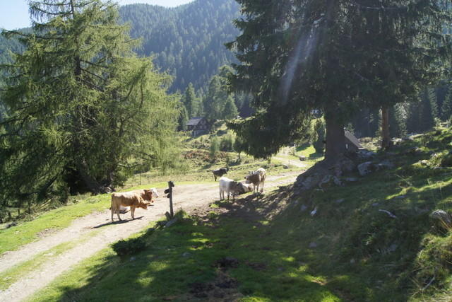 12-09-09 Almwandertag 2012 068