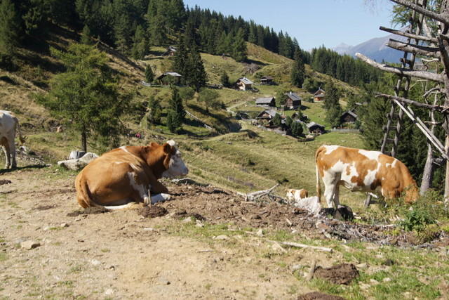 12-09-09 Almwandertag 2012 076